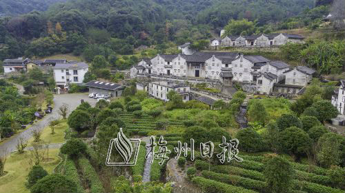 梅县区雁洋镇长教村产村联动村企互动共建共享