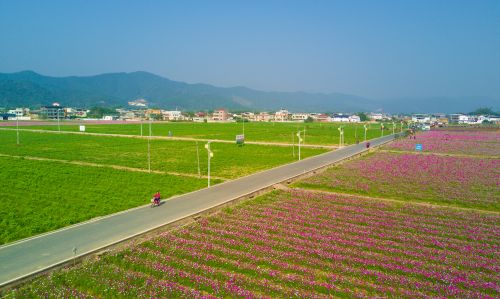 蕉岭三圳镇九岭村:乡村振兴路上创优"九岭经验"