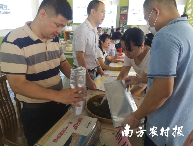 现场抽样。