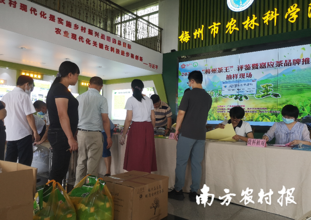 参评茶企送样。