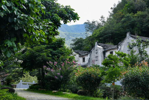 黛墙溪水，小桥古树，四面环山的桥溪村仿佛桃源仙境。.png