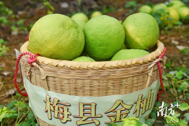 南方+ 何森垚 拍摄
