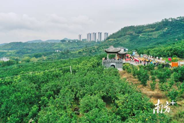 南方+ 何森垚 拍摄