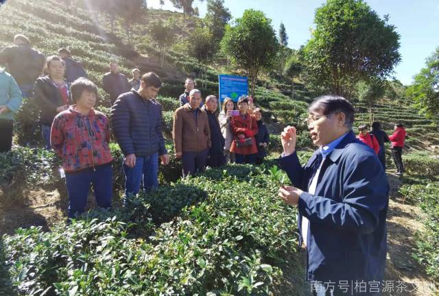 曹藩荣副院长在茶园解答农户问题