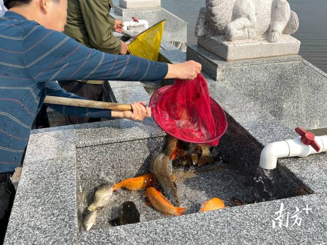    南方+ 罗蔚然 拍摄