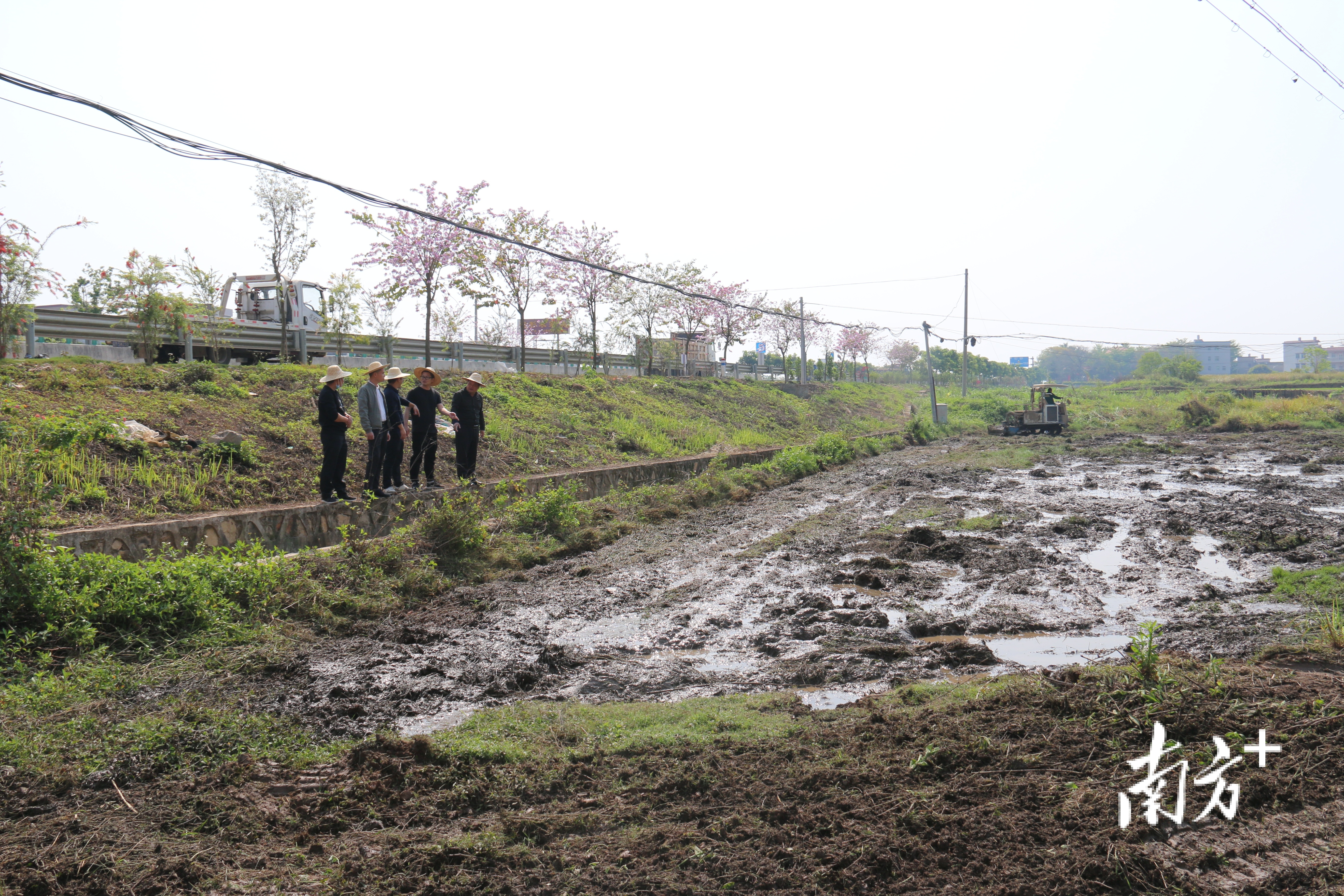 梅州兴宁市委巡察助推撂荒耕地复耕复种