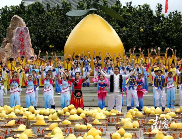 广东(梅州)庆祝首届“中国农民丰收节”活动分会场在大埔县双髻山蜜柚公园举行。南方日报记者 何森垚 摄
