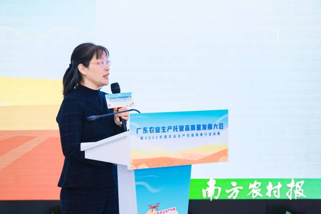 华南农业大学国家农业制度与发展研究院执行院长、教授胡新艳