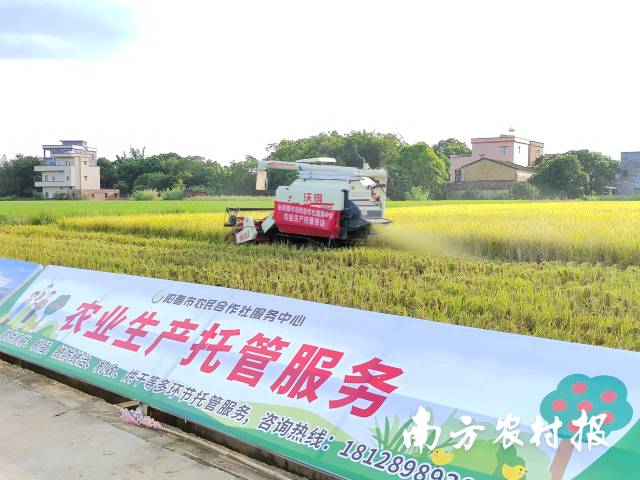 受访者供图