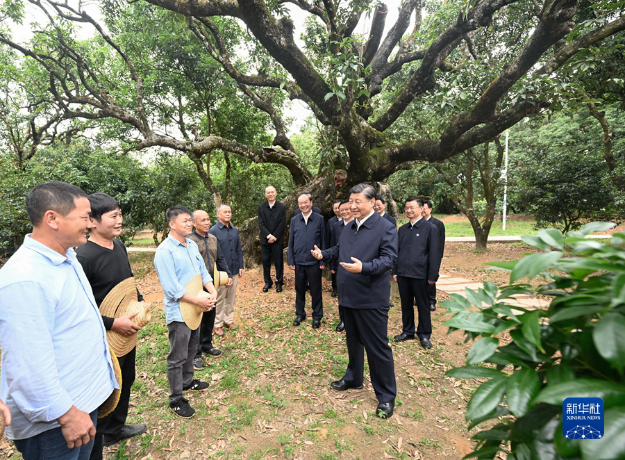 习近平在广东考察时强调 坚定不移全面深化改革扩大高水平对外开放 在推进中国式现代化建设中走在前列8.JPG
