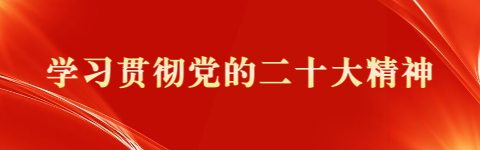 学习贯彻党的二十大精神