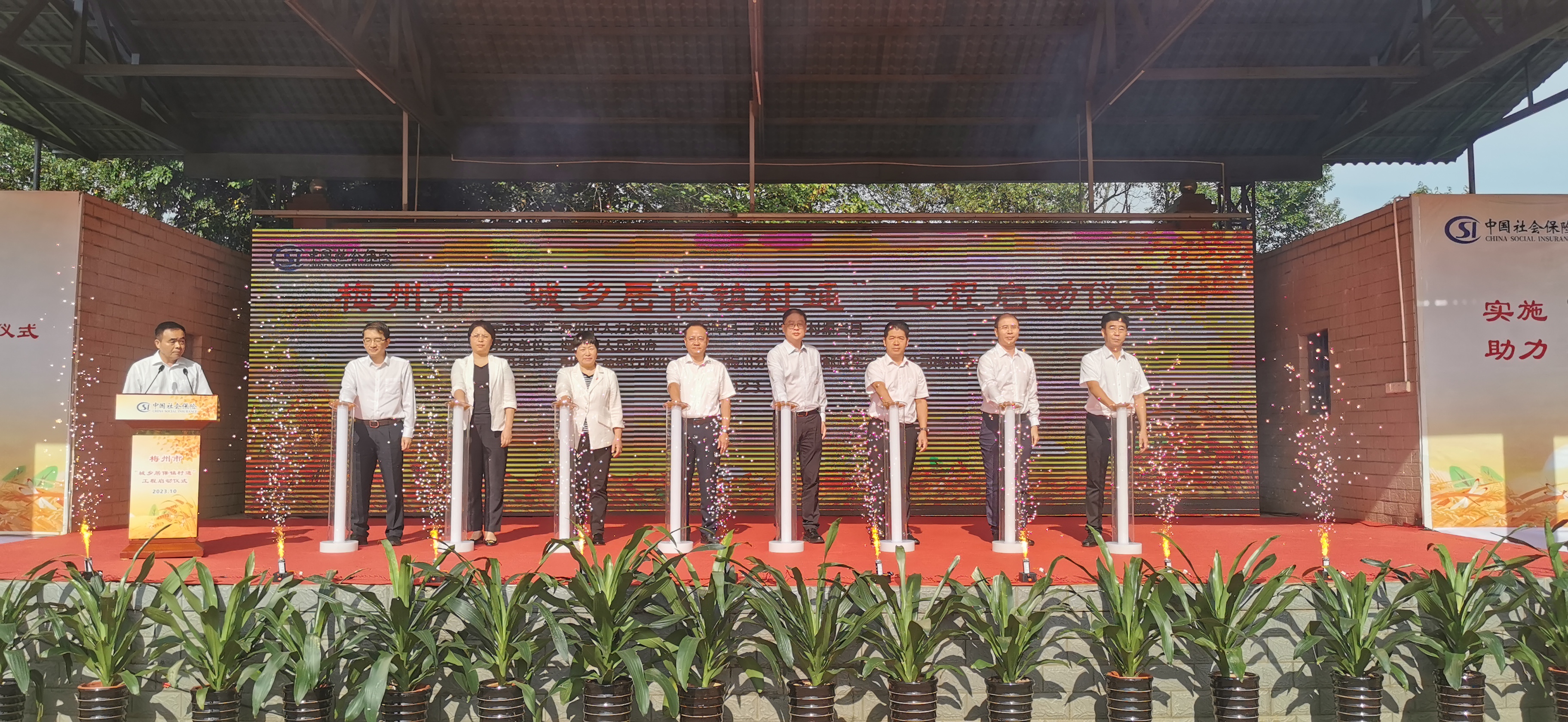 发3.jpg