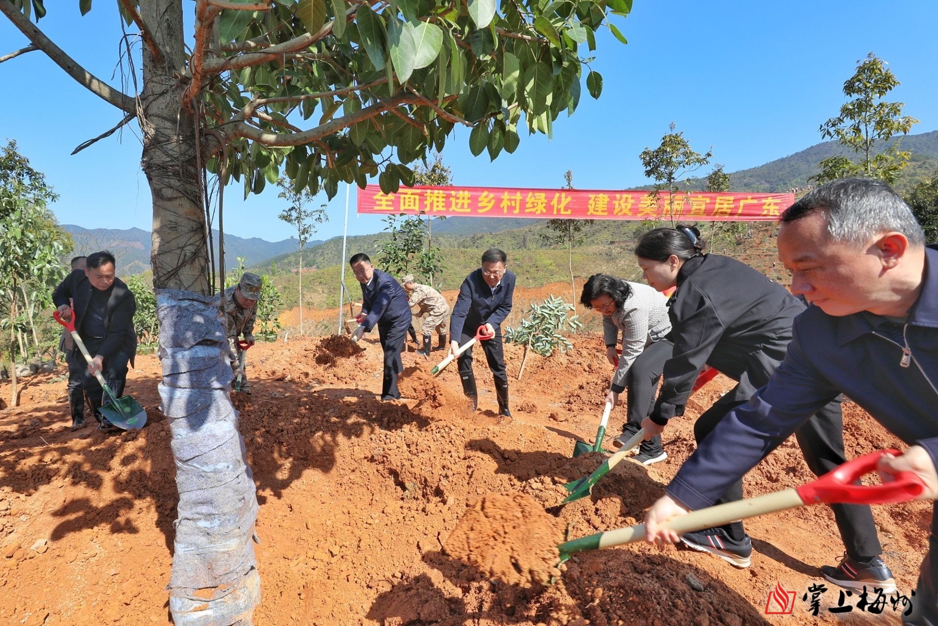 市领导参加2024年全省推进绿美广东生态建设义务植树活动