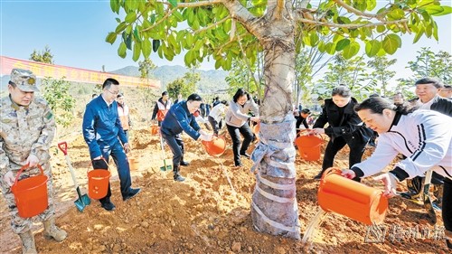 上下联动掀起新一轮爱绿植绿护绿高潮