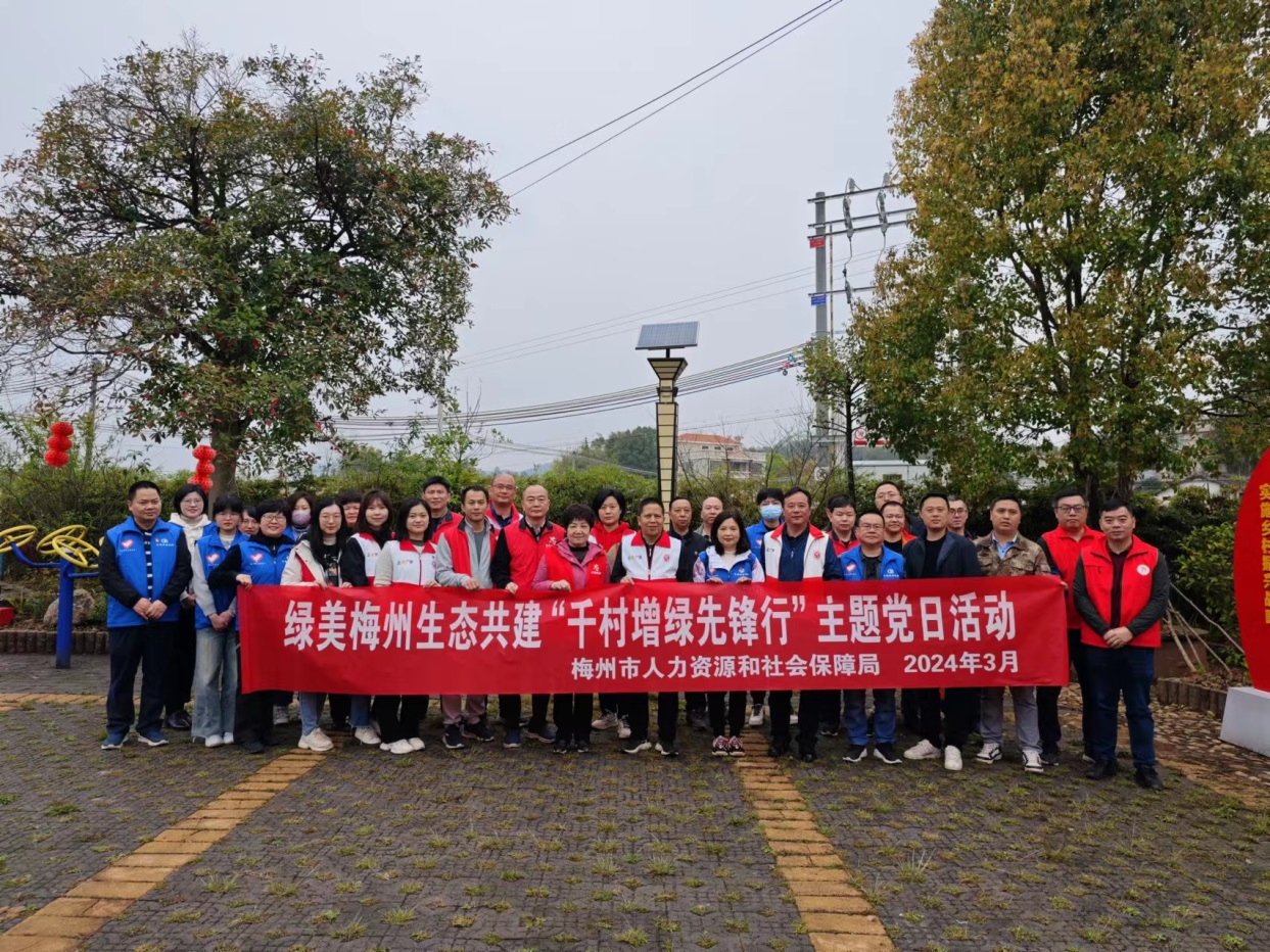 已编辑图片