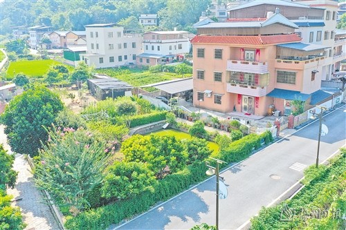 小小庭院绘美景 宜居宜业幸福家