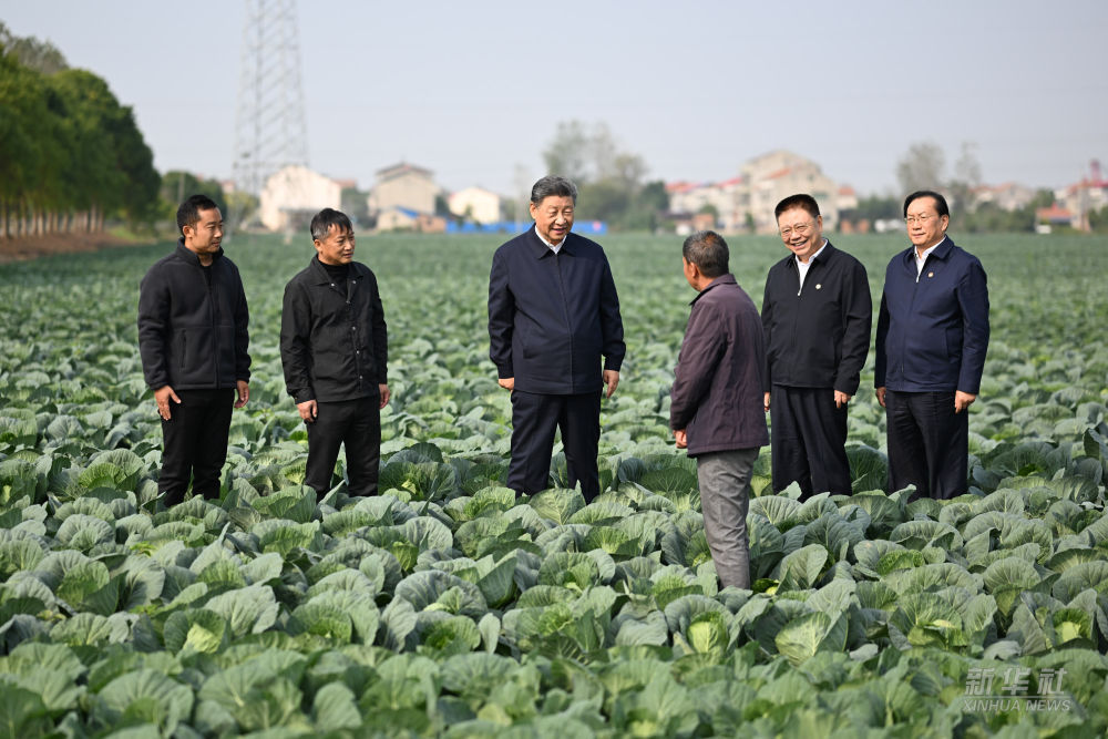 图片5.png