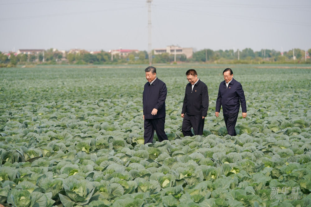 图片6.png
