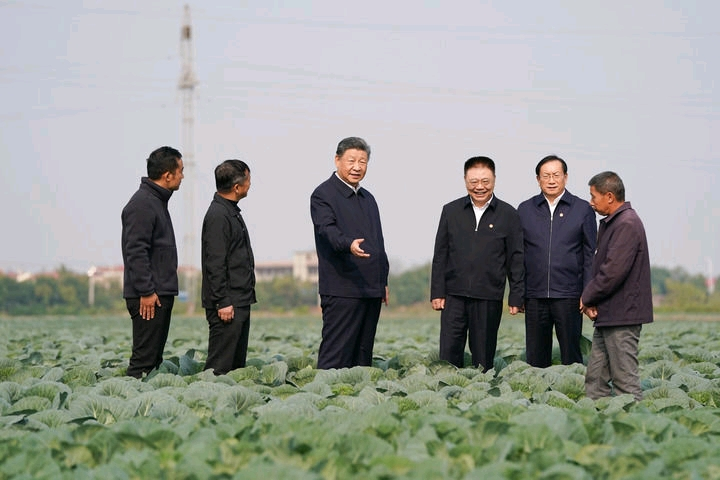 图片4.png