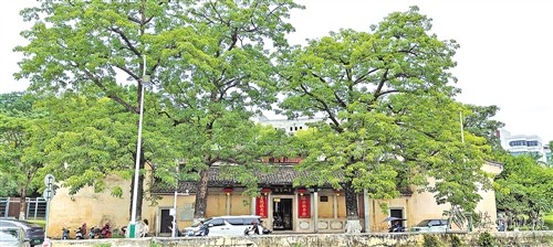 在时光褶皱里触摸文脉沉香
