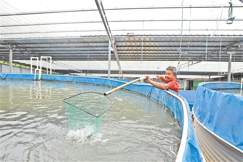 大埔县把党建工作摆在突出位置，以“红色引擎”驱动“百千万工程”落地见效党建引领聚合力 攻坚克难促发展