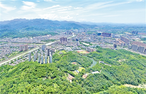 “双向赋能”激活城乡发展新动能