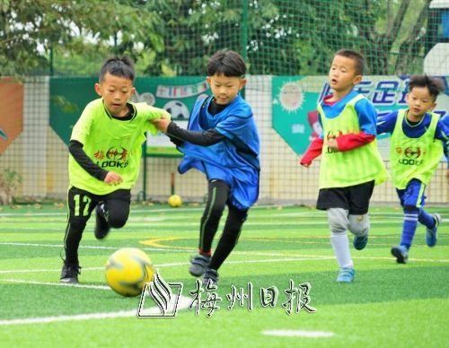 幼儿嘉年华竞赛场上，小运动员们积极投入比赛。（市体育局供图）