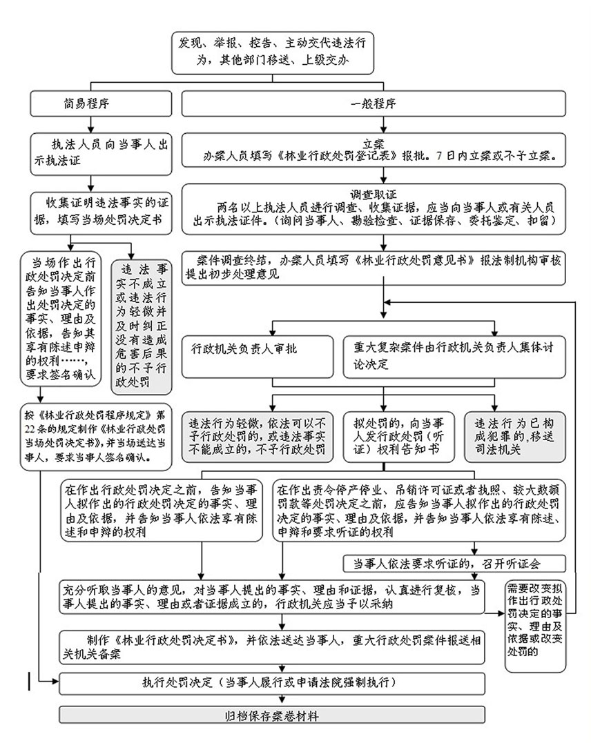 梅州市林业行政处罚程序工作流程图