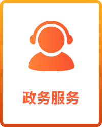 政务服务